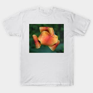 Flower T-Shirt